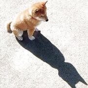 The brunette mom lovingly lifted her yellow dress